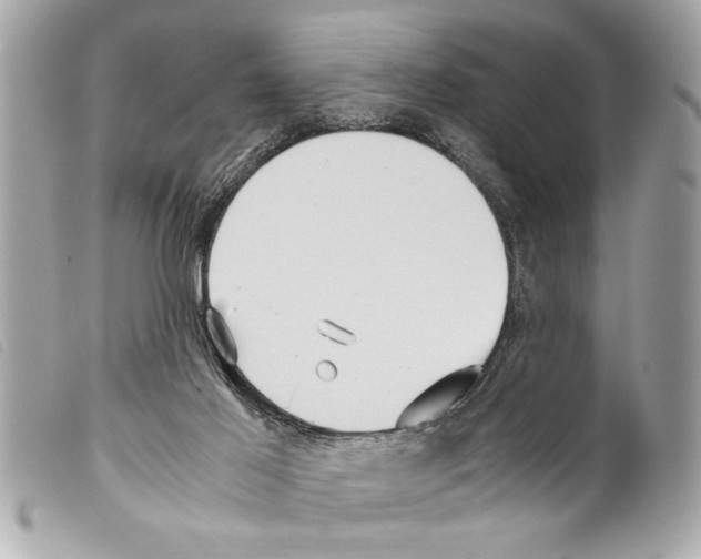 X0000099290021200805301121