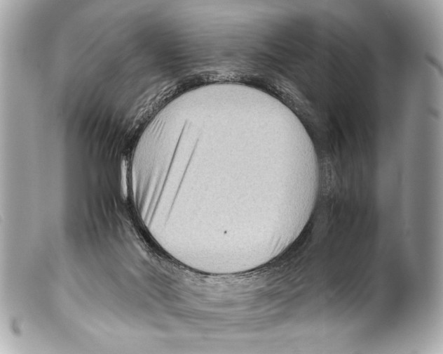 X0000099290022200805301121