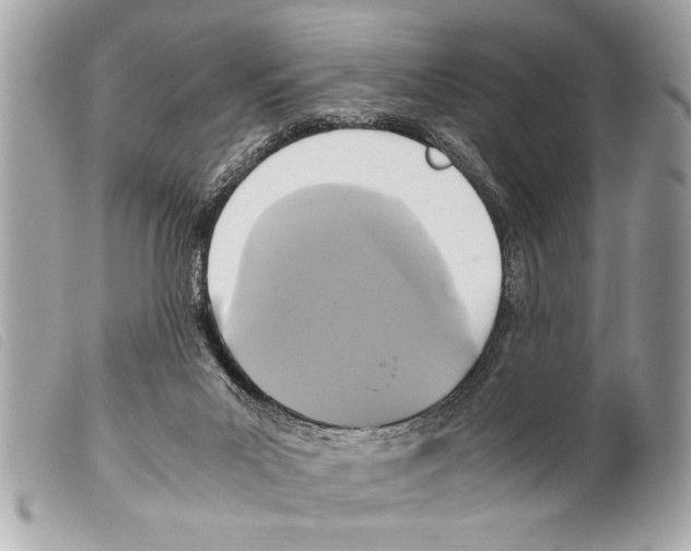 X0000099290023200805301121