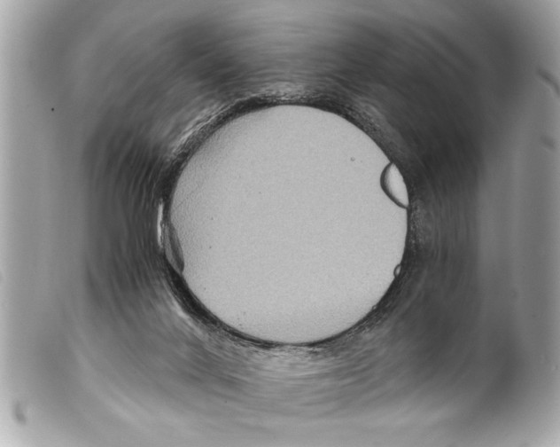 X0000099290024200805301121