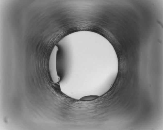 X0000099290025200805301121