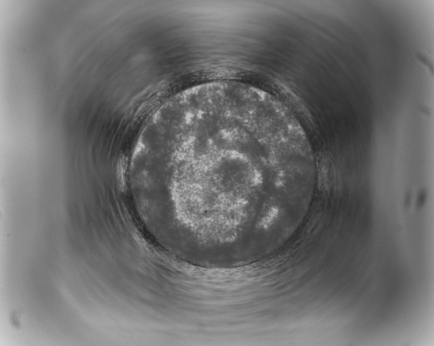 X0000099290026200805301121