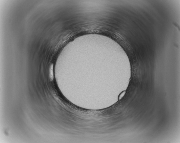 X0000099290028200805301121