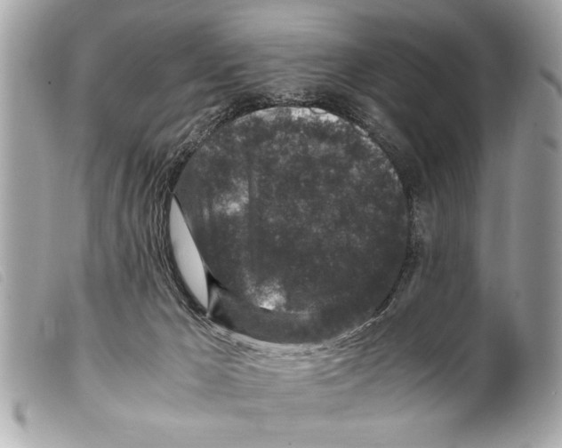 X0000099290029200805301121