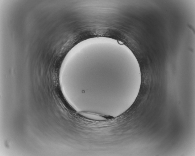 X0000099290031200805301121