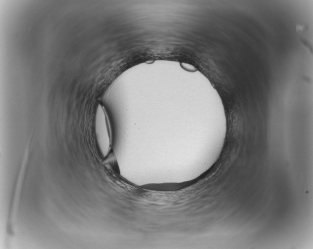 X0000099290033200805301121