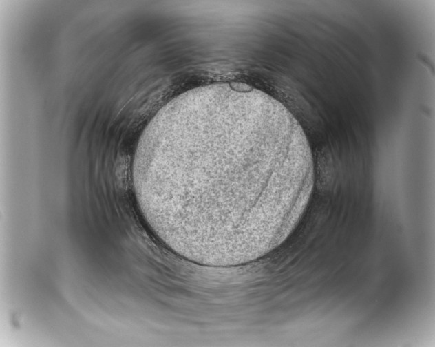 X0000099290034200805301121