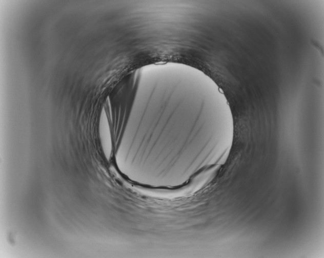 X0000099290039200805301121