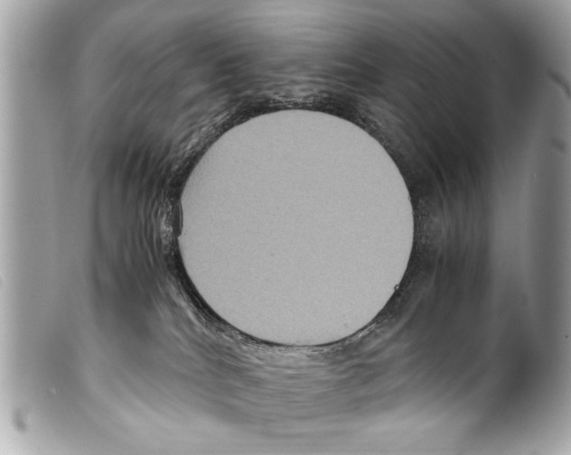 X0000099290040200805301121