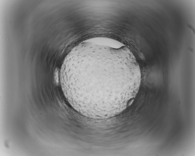 X0000099290042200805301121