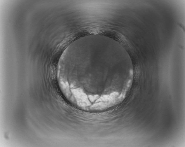 X0000099290043200805301121