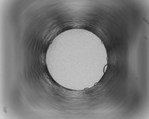 X0000099290044200805301121