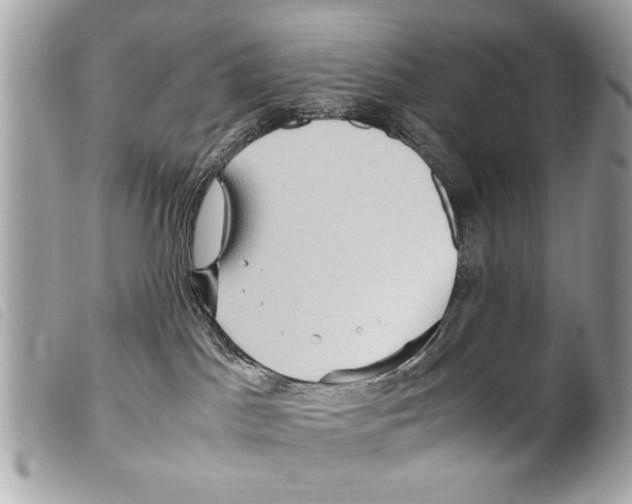 X0000099290045200805301121