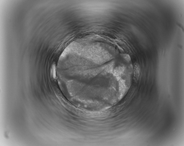 X0000099290046200805301121