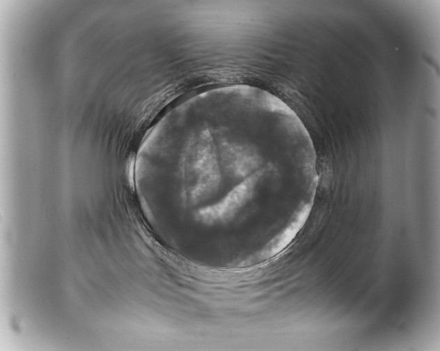 X0000099290047200805301121