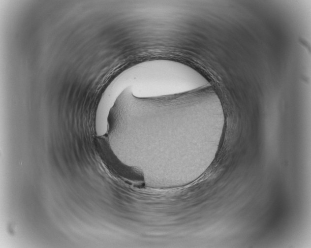 X0000099290048200805301121