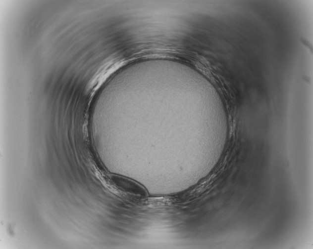 X0000099290050200805301120