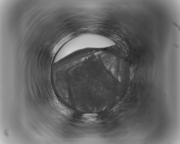 X0000099290051200805301120