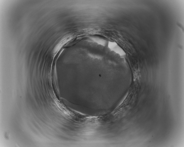 X0000099290052200805301120