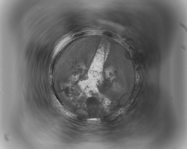 X0000099290053200805301120