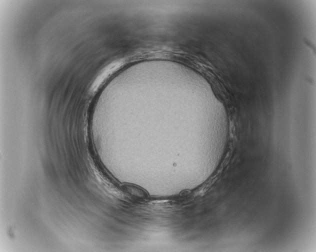 X0000099290054200805301120