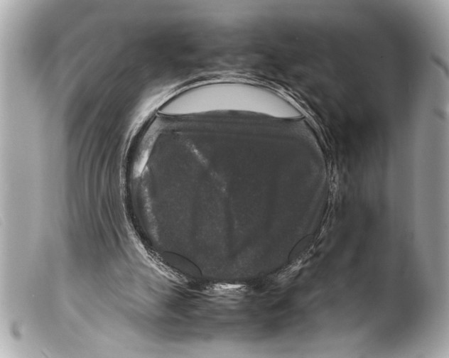 X0000099290055200805301120
