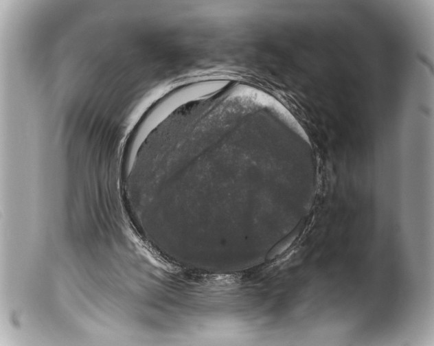 X0000099290056200805301120
