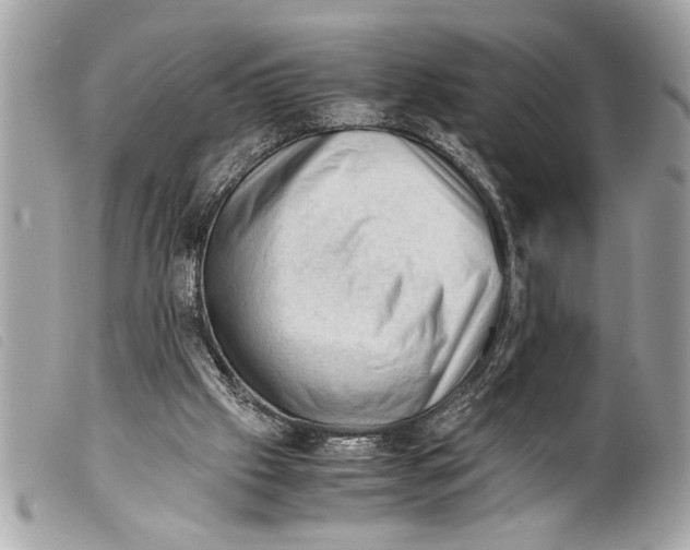 X0000099290057200805301120