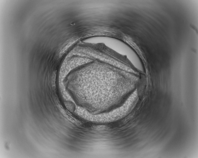 X0000099290058200805301120