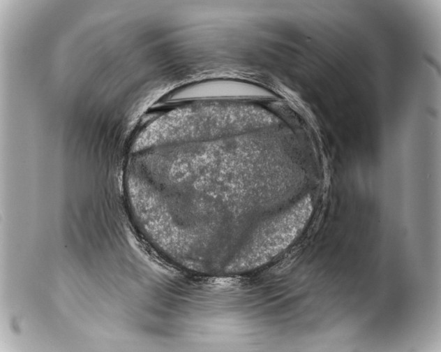 X0000099290060200805301120