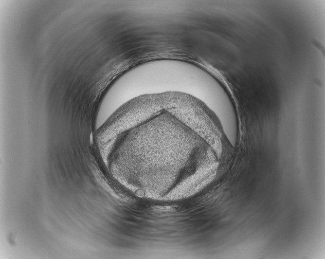 X0000099290061200805301120