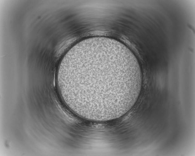 X0000099290062200805301121