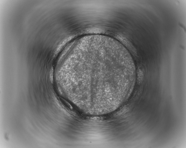 X0000099290064200805301121
