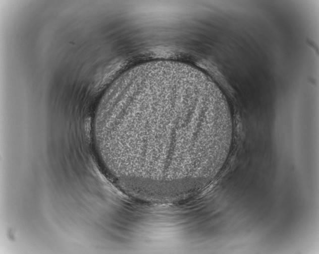 X0000099290066200805301121