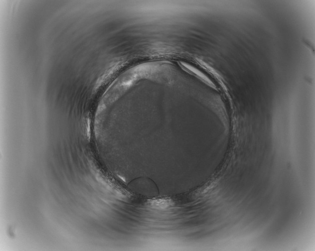 X0000099290067200805301121