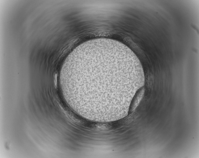 X0000099290070200805301121