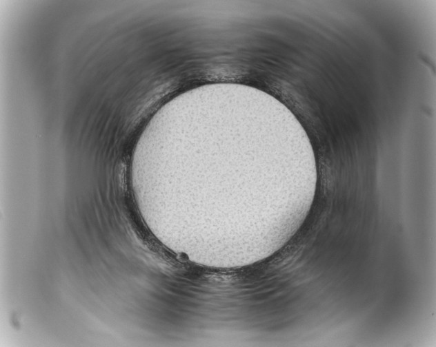 X0000099290071200805301121