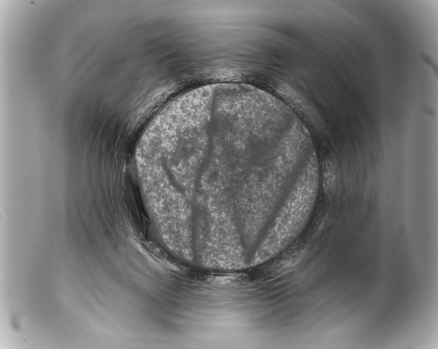X0000099290072200805301121