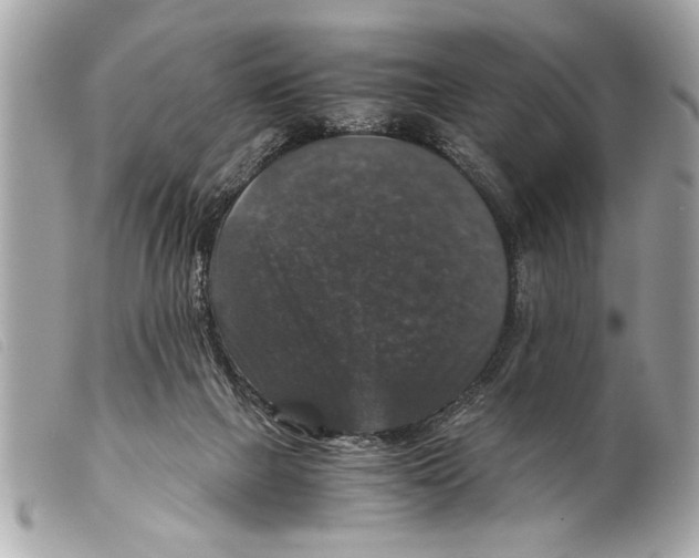 X0000099290073200805301121