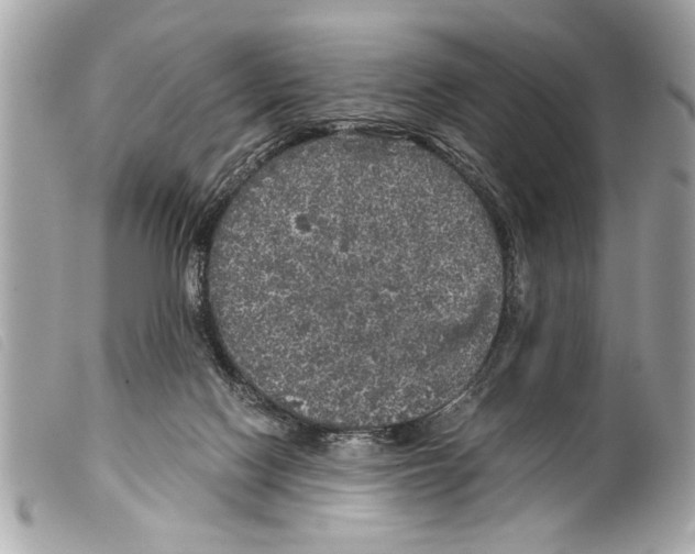 X0000099290074200805301121