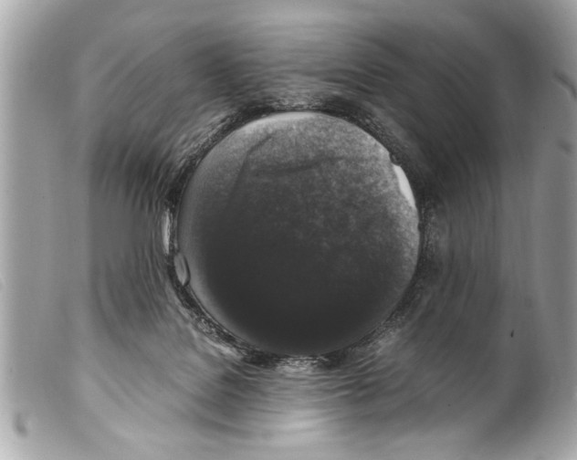 X0000099290076200805301121