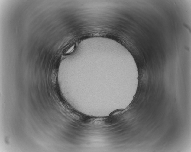 X0000099290078200805301121