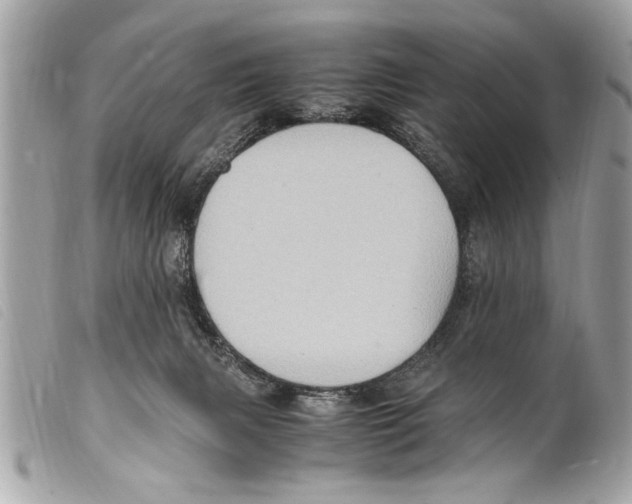 X0000099290079200805301121