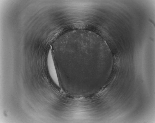 X0000099290080200805301121