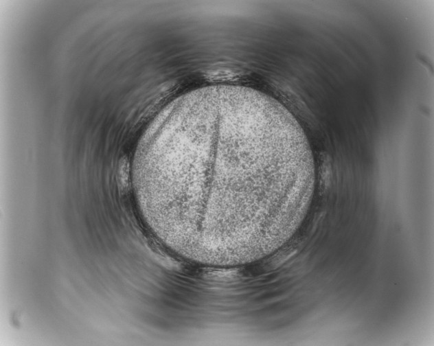 X0000099290081200805301121