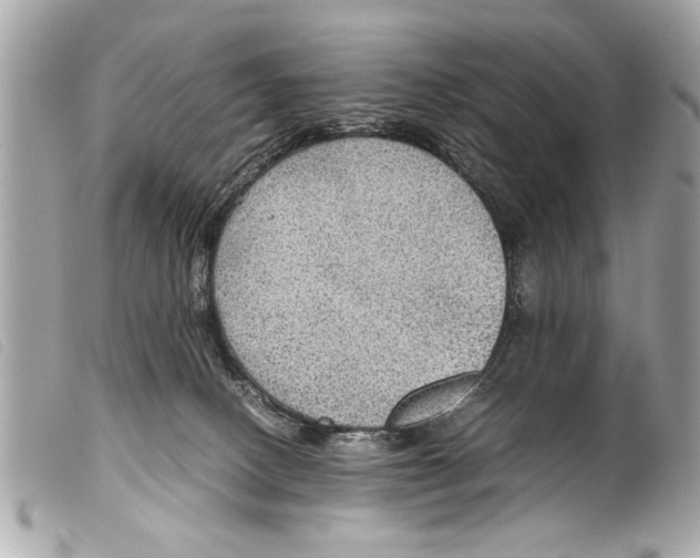 X0000099290082200805301121