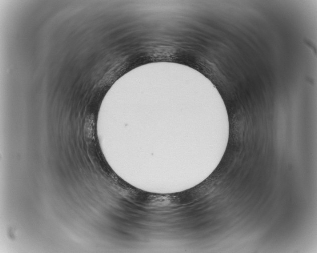 X0000099290083200805301121