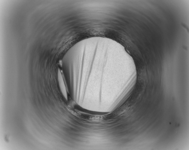 X0000099290084200805301121