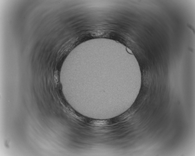 X0000099290085200805301121