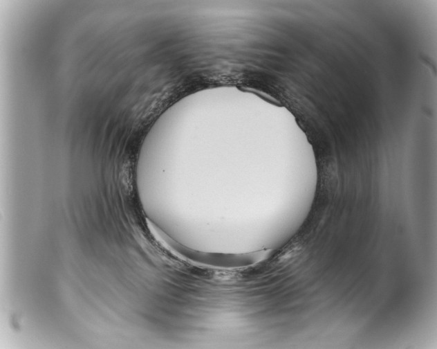 X0000099290088200805301121